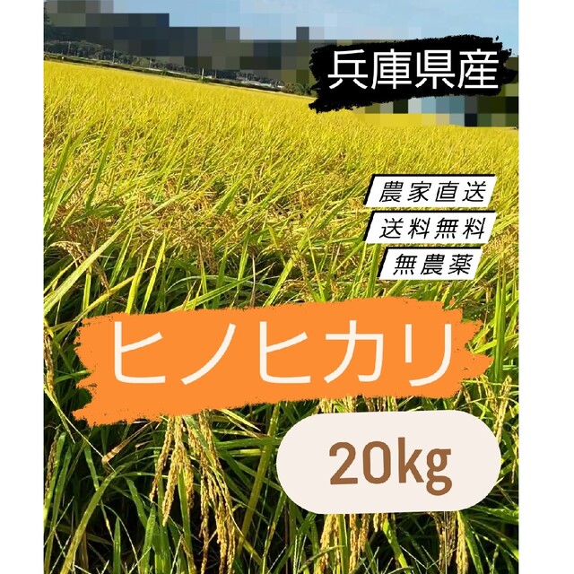 食品【令和4年　新米】ひのひかり ヒノヒカリ 新米 玄米 無農薬 20kg