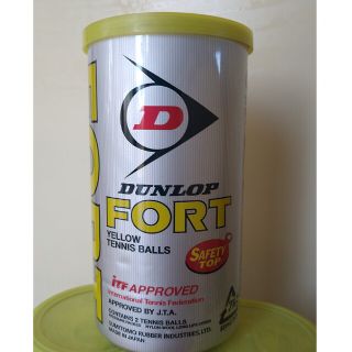 ダンロップ(DUNLOP)のchicoさん専用　テニスボール　２個入り✕３缶　計６個　新品未使用(ボール)