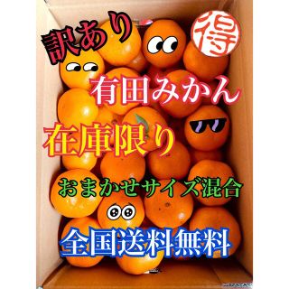 和歌山県産 訳あり有田みかん  サイズおまかせ 5kg 箱 みかんキング(フルーツ)