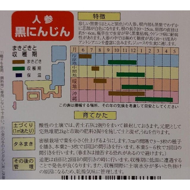 カラフルニンジン 野菜種 家庭菜園 にんじん プランター 食品/飲料/酒の食品(野菜)の商品写真