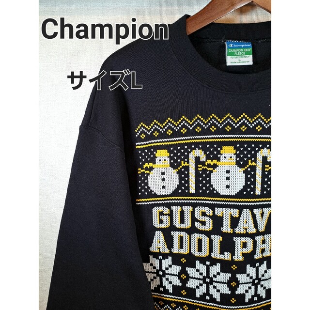 Champion、チャンピオン、トレーナー、ビッグプリント