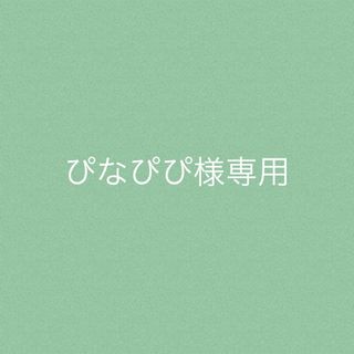 トウキョウヤクルトスワローズ(東京ヤクルトスワローズ)のぴなぴぴ様専用(応援グッズ)