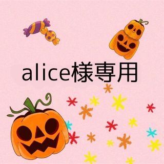 alice様専用(知育玩具)