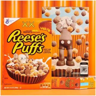 シュプリーム(Supreme)のkaws Reeses シリアル BOX 新品 カウズ(その他)