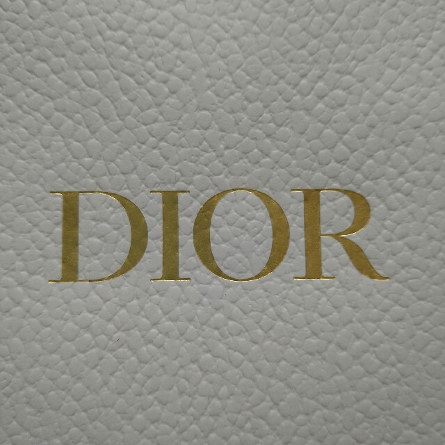 Christian Dior(クリスチャンディオール)のクリスチャンディオール ショッパー レディースのバッグ(ショップ袋)の商品写真