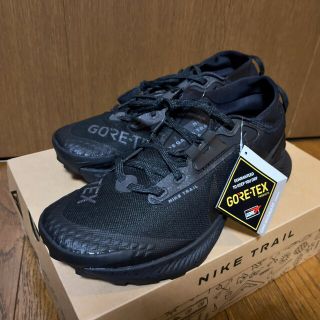 ナイキ(NIKE)のNIKE ペガサストレイル3 GTX  ゴアテックス　26.0㎝(シューズ)