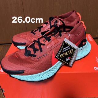 NIKE ペガサストレイル3 GTX  ゴアテックス　26.0㎝