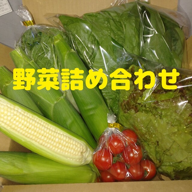 野菜詰め合わせ 食品/飲料/酒の食品(野菜)の商品写真