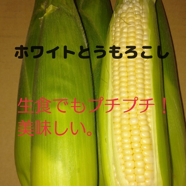 野菜詰め合わせ 食品/飲料/酒の食品(野菜)の商品写真