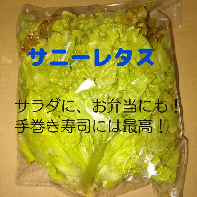 野菜詰め合わせ 食品/飲料/酒の食品(野菜)の商品写真