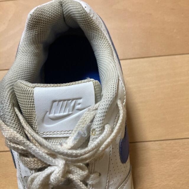 NIKE(ナイキ)のNIKEの靴とNIKEの靴紐 メンズの靴/シューズ(その他)の商品写真