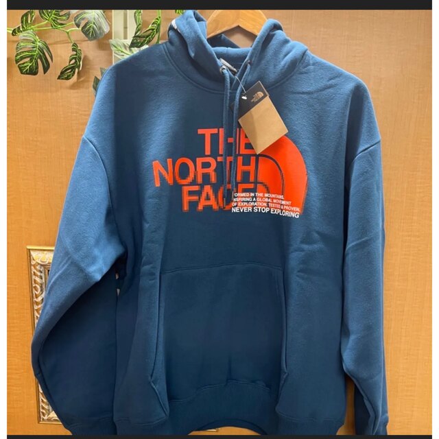 THE NORTH FACE 裏起毛 フーディー パーカー NF0A5GEO