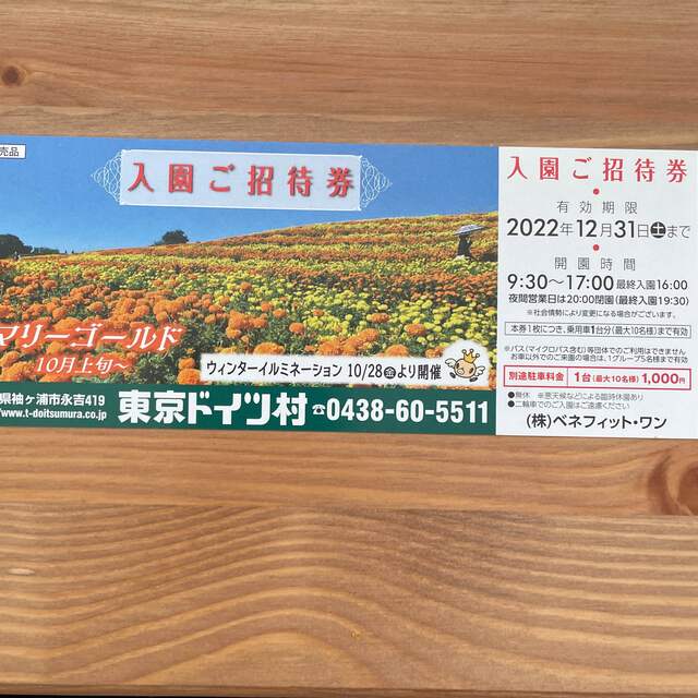東京ドイツ村　入園ご招待券 チケットの施設利用券(遊園地/テーマパーク)の商品写真
