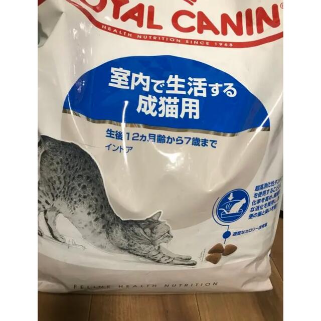 ロイヤルカナン 猫インドア 室内で生活する成猫用 10kg ロイヤルカナン 猫インドア 室内で生活する成猫用 10kg