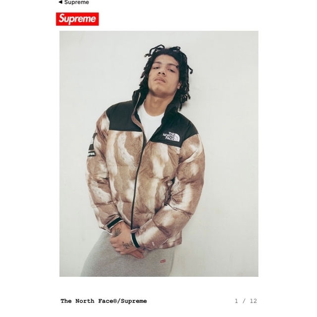 Supreme(シュプリーム)のＭ様専用！supreme the north face 13aw nuptse  メンズのジャケット/アウター(ダウンジャケット)の商品写真