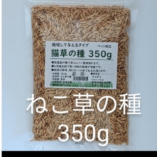 【低価格】猫草の種 350g 栽培 えん麦(ペットフード)