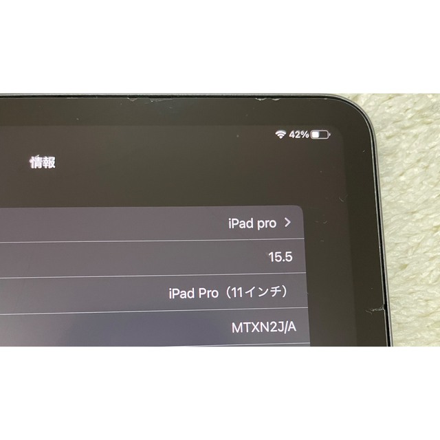 iPad pro 11インチ スペースグレー ガラスフィルム・ケース付き