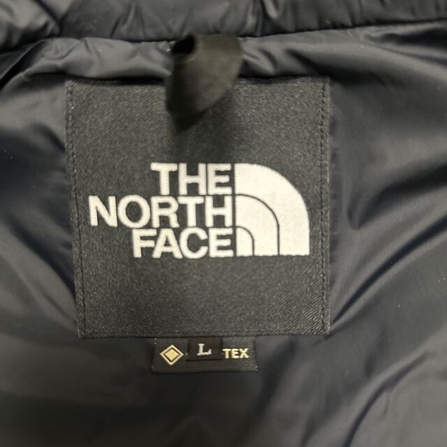 THE NORTH FACE Mountain Down Jacket 1