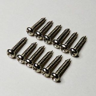 新品 ペグ用スクリュー クローム 12本セット2.0×10mm ネジ ビス (パーツ)