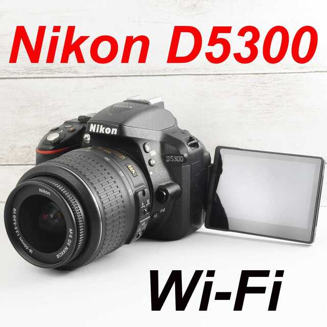 カメラバッグ付☆新型レンズ フード Wi-Fi&自撮 高画質☆ニコン D5300