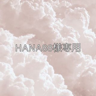 HANA88様専用(置物)