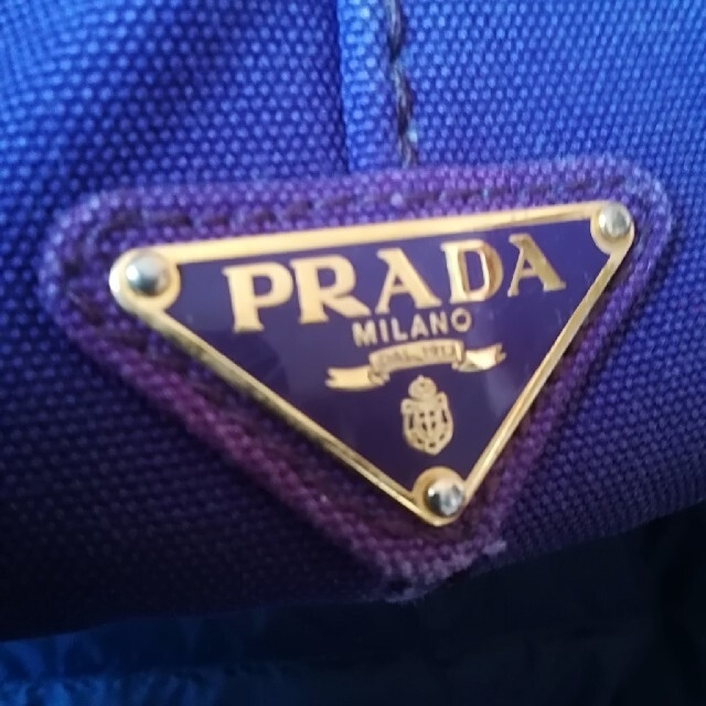 PRADA(プラダ)のこうぺん様専用　PRADA カパナ　バッグ　パープル　 レディースのバッグ(トートバッグ)の商品写真