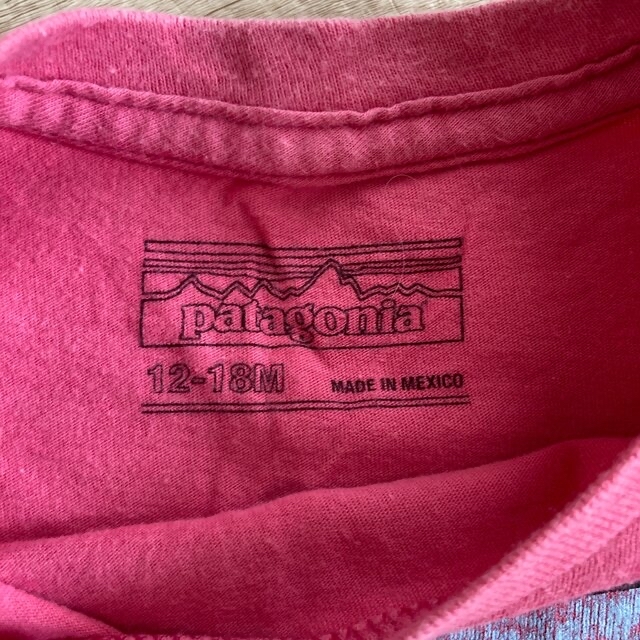 patagonia(パタゴニア)のPatagonia Tシャツ キッズ/ベビー/マタニティのキッズ服女の子用(90cm~)(Tシャツ/カットソー)の商品写真