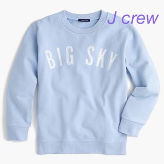 ジェイクルー(J.Crew)のJ crew 水色　スウェット　トレーナー　アメリカ(トレーナー/スウェット)