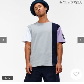 エーグル(AIGLE)の美品！[エーグル] [公式] レジコール Tシャツ メンズ L(Tシャツ/カットソー(半袖/袖なし))