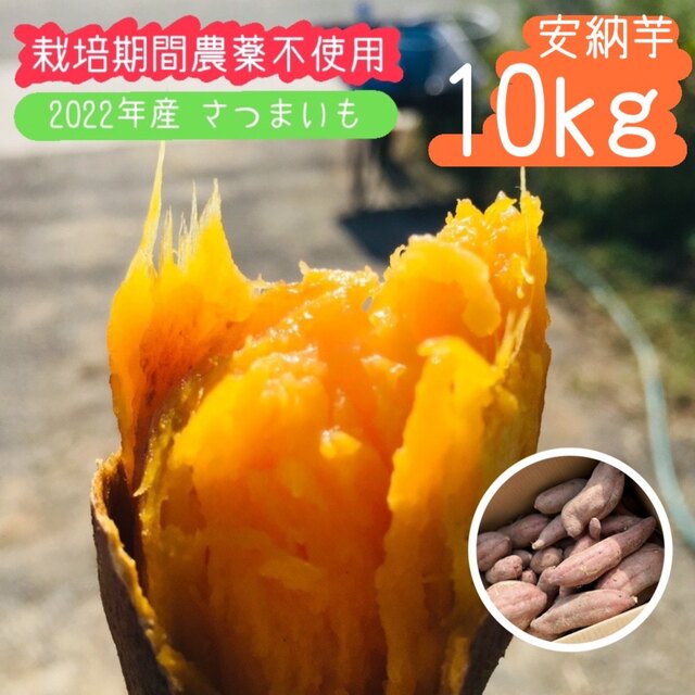 【10kg】倉敷安納芋 新物 さつまい【栽培期間農薬不使用】