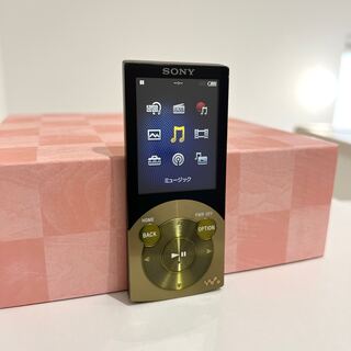 SONY - SONY ウォークマン NW-S745 16GB