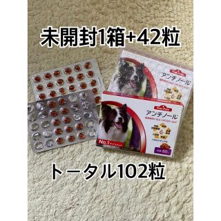 こてつママ様専用　アンチノール　Vetz Petz サプリメント　関節(犬)