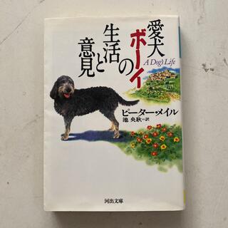 ◇【中古】愛犬ボ－イの生活と意見/ピ－タ－・メイル(河出書房新社)(文学/小説)