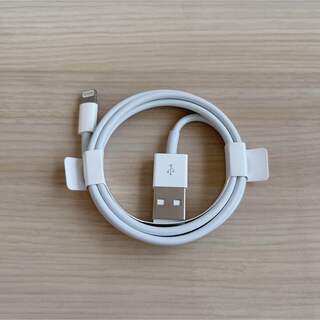 純正iPhone充電器　USB(バッテリー/充電器)