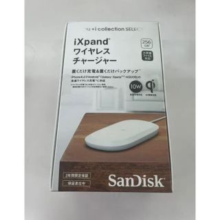 サンディスク(SanDisk)のSanDisk SDIZ90N-256G(バッテリー/充電器)