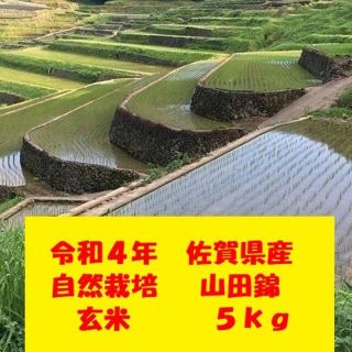 玄米５kg！完全自然栽培の美味しいお米！令和４年度！佐賀県産「山田錦」(米/穀物)