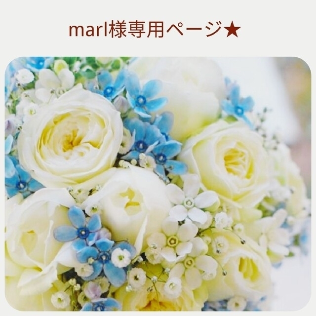 marI様専用ページ☆-