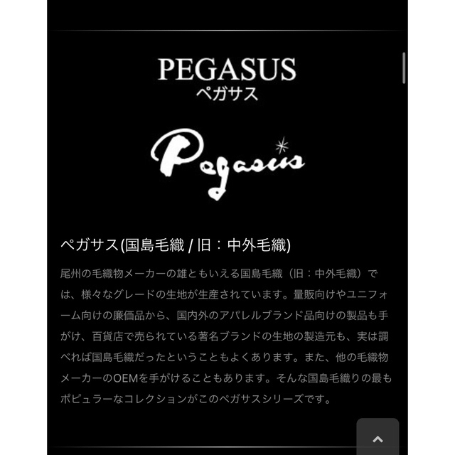 ペガサススーツ用生地　日本製 ハンドメイドの素材/材料(生地/糸)の商品写真