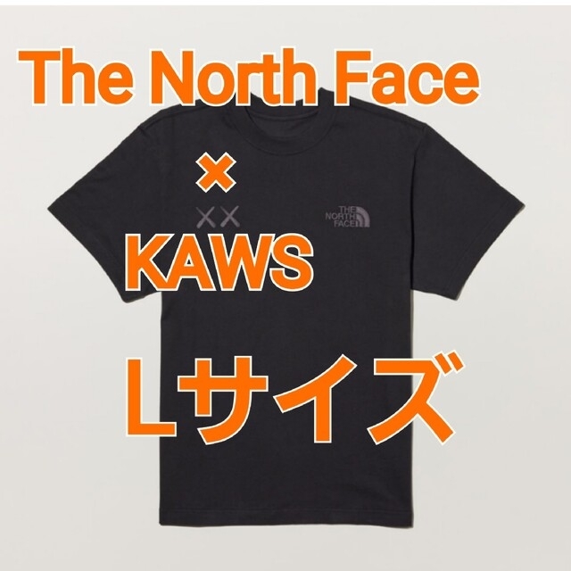 ノースThe North Face×KAWS☆T-shirt L Tシャツカウズノース