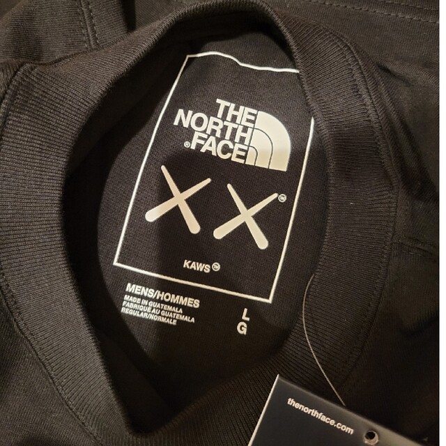 The North Face×KAWS☆T-shirt L Tシャツカウズノース