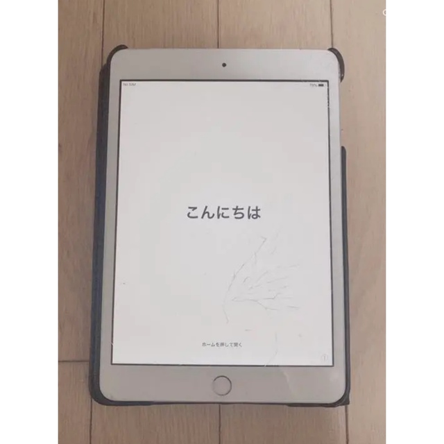 iPad mini 3 16GB