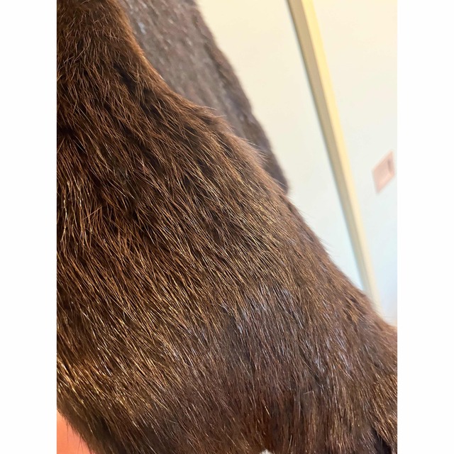 ウィーゼルストール レディースのジャケット/アウター(毛皮/ファーコート)の商品写真