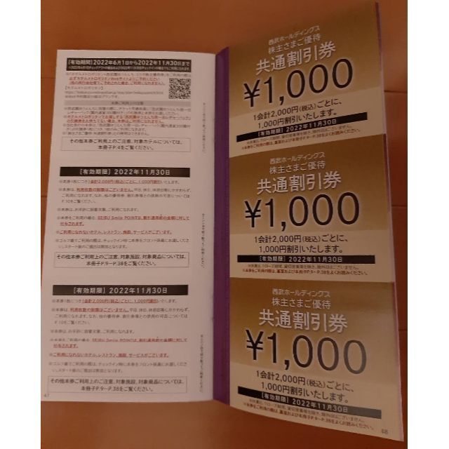 西武ホールディングス株主優待　共通割引券10枚　有効期限2022年11月30日入館料絶景日帰り温泉龍宮殿本館