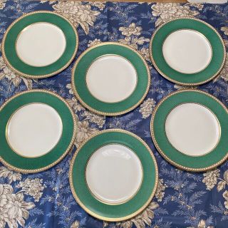 ウェッジウッド(WEDGWOOD)の【新品未使用】Wedgwood 27㎝✖️6枚ユーランダーパウダーグリーン(食器)