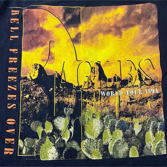 90年代 EAGLES イーグルス HELL FREEZE OVER TOUR 1995 両面プリント バンドTシャツ バンT メンズL ヴィンテージ /evb001812