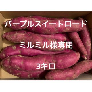 長野県産　パープルスイートロード　3キロ(野菜)