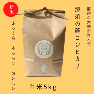 【白米】令和4年産　那須の麓のコシヒカリ　5kg(米/穀物)