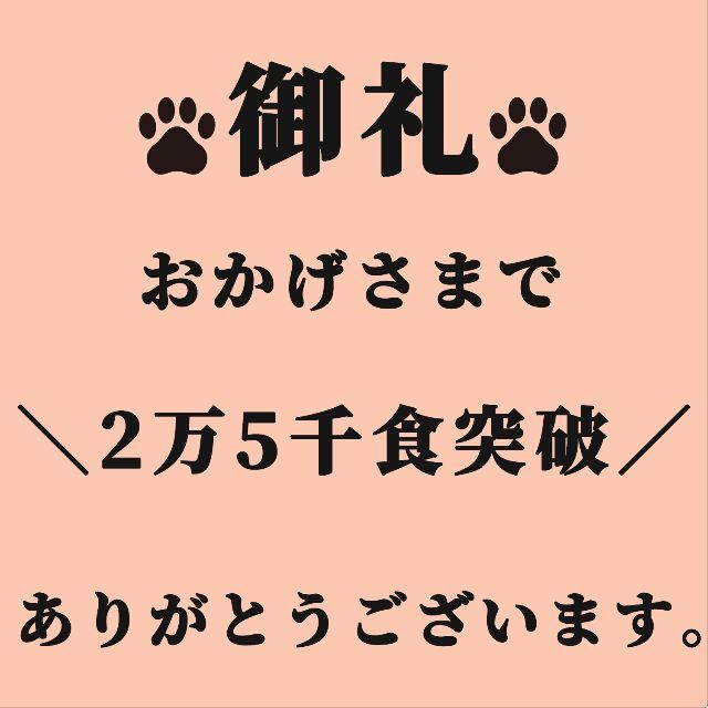 フリーズドライ ササミ 30ｇ  国産 犬 猫 おやつ その他のペット用品(ペットフード)の商品写真