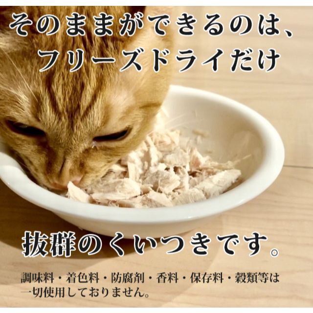 フリーズドライ ササミ 30ｇ  国産 犬 猫 おやつ その他のペット用品(ペットフード)の商品写真