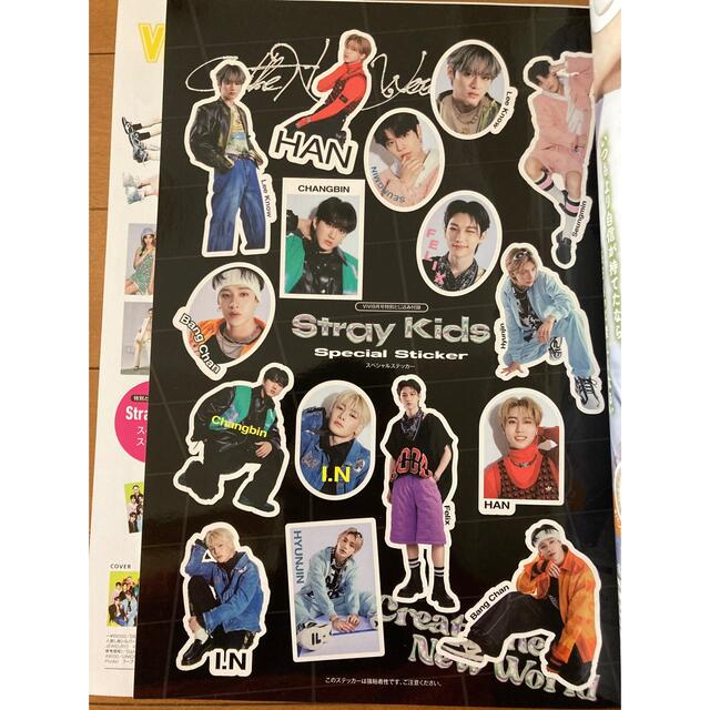 Stray Kids(ストレイキッズ)のViVi  Straykids 2022年9月号　付録付 エンタメ/ホビーの雑誌(アート/エンタメ/ホビー)の商品写真